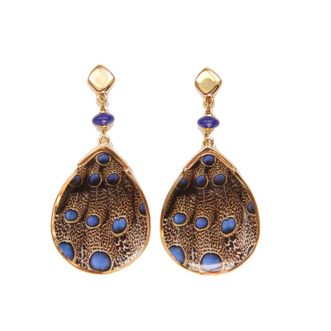 brazilian images: exotic feathers enamel earrings - francesca romana diana