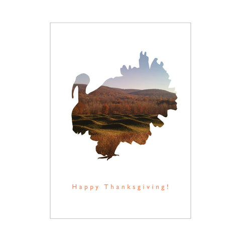 dg happy thanksgiving! single - letter collective
