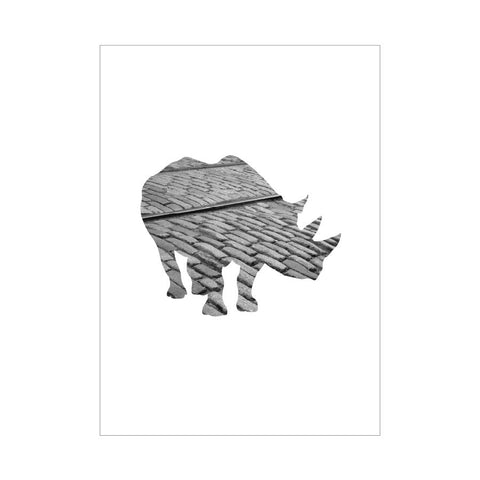 dg brooklyn zoo dumbo 6pk - letter collective