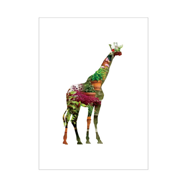 dg brooklyn zoo park slope 6pk - letter collective