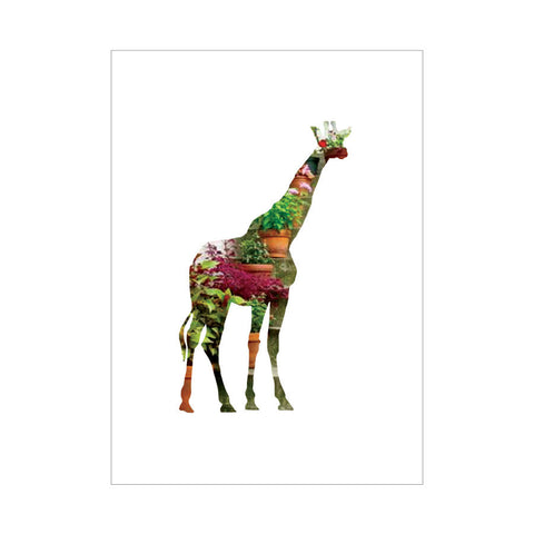 dg brooklyn zoo park slope 6pk - letter collective
