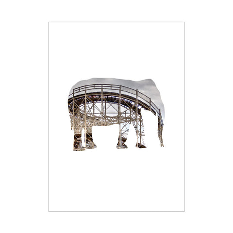 dg brooklyn zoo coney island 6pk - letter collective