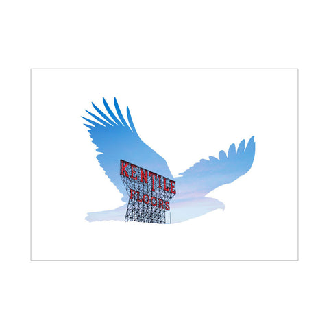 dg brooklyn birds gowanus single - letter collective
